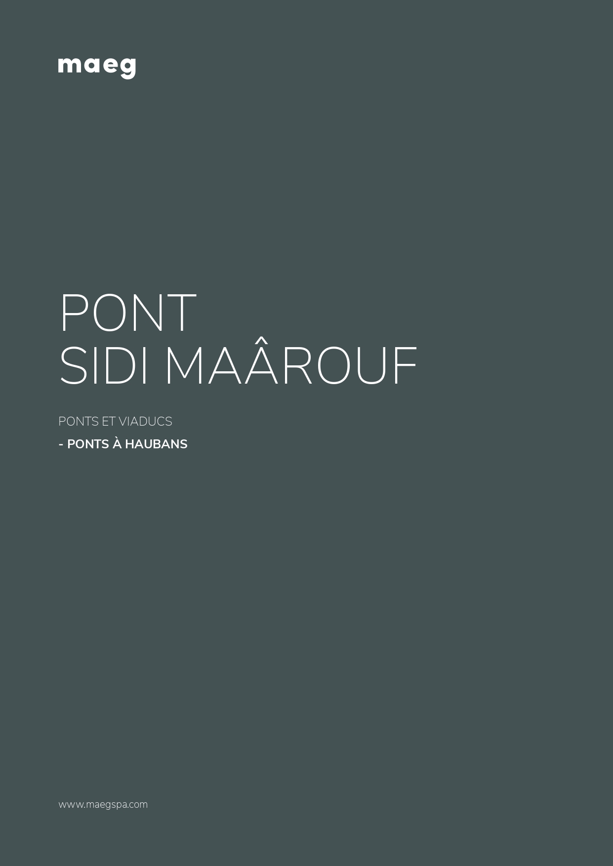 Sidi Ma&ocirc;rouf bridge